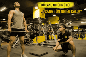 9 phòng tập gym quận Hoàng Mai chất lượng giá từ 299k/ tháng