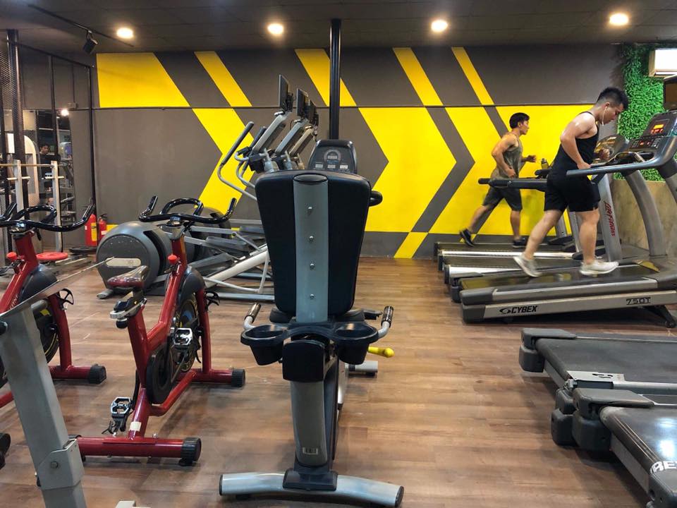 phòng tập gym quận 8