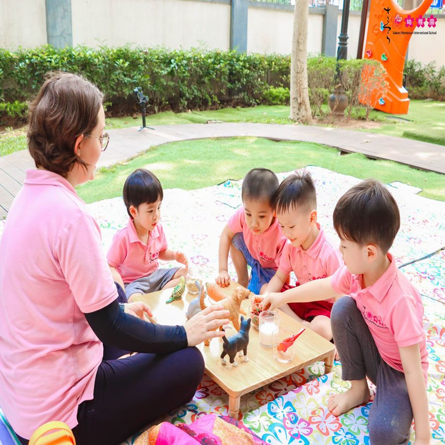 review trường Sakura Montessori