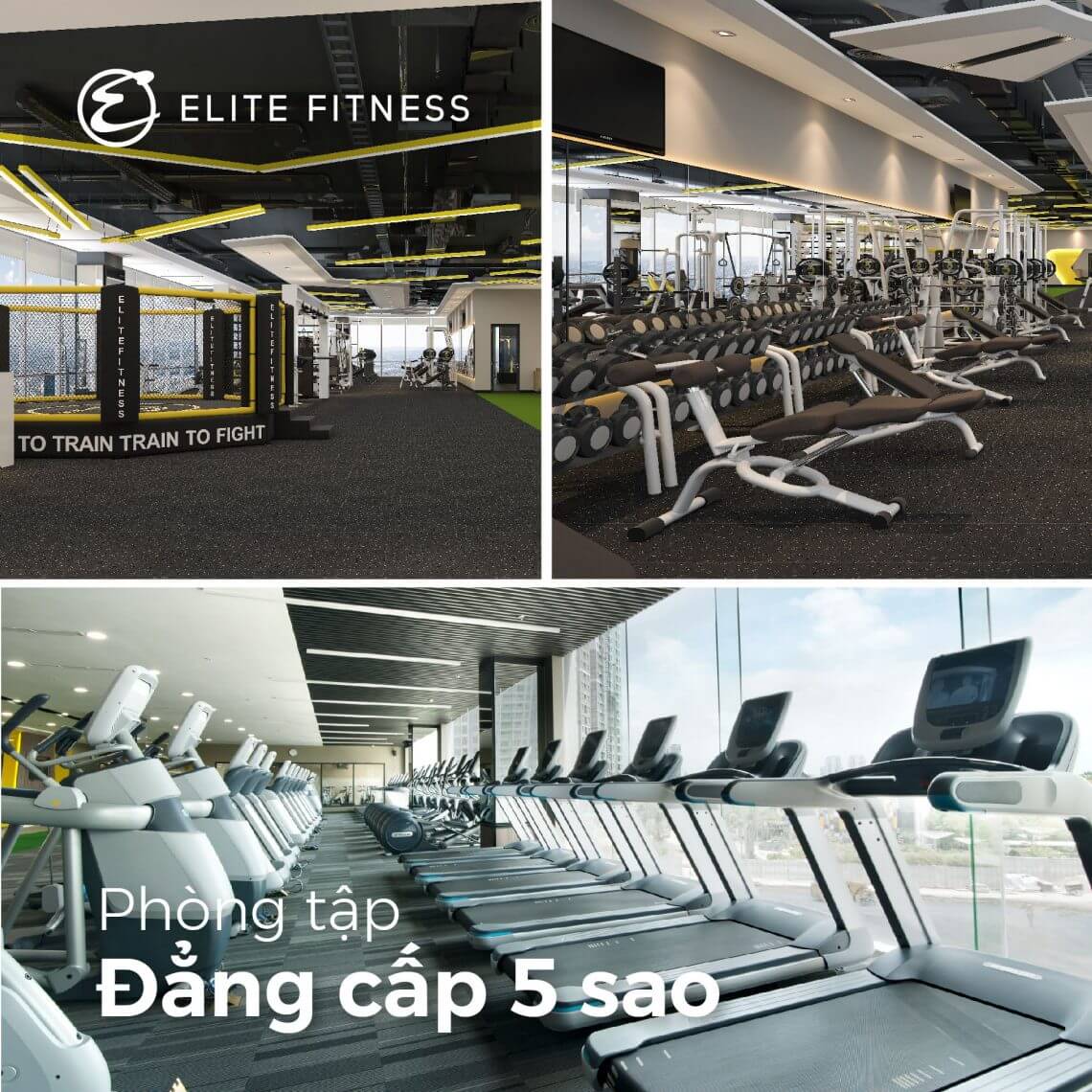 bảng giá elite fitness