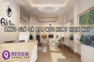 Review Gà Spa lừa đảo không? Có tốt không và bảng giá Gà Spa [year]