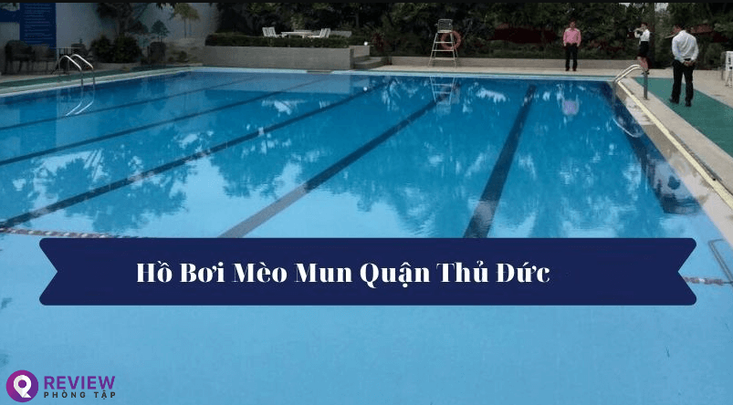 hồ bơi mèo mun thủ đức, ho boi meo mun thu duc